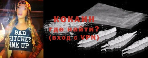стаф Богородск