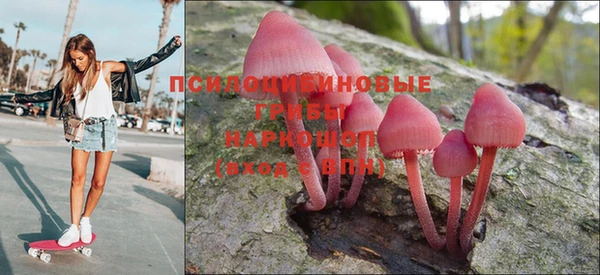 гидропоника Богородицк
