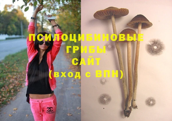 MESCALINE Богданович