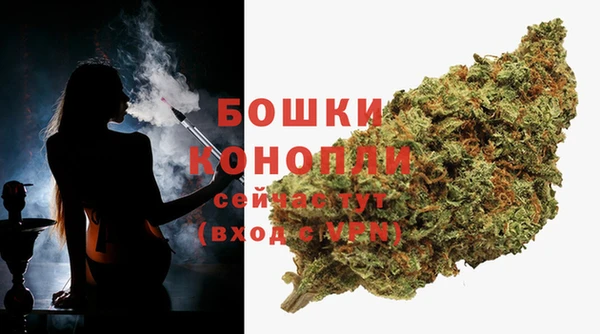 стаф Богородск