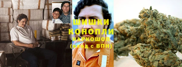 гидропоника Богородицк