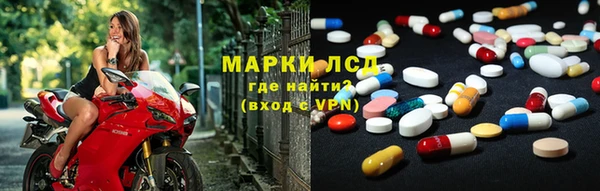 стаф Богородск